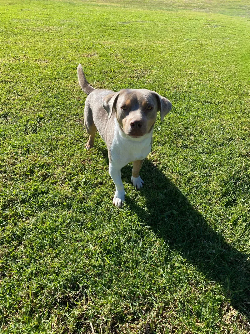 Sebastian thumbnail 3