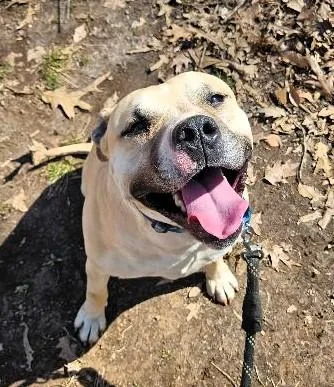 Maverick thumbnail 6