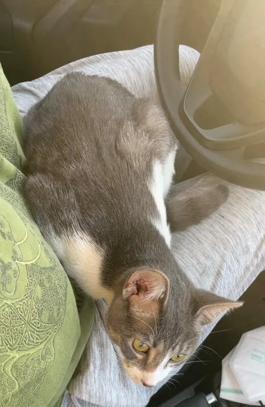 Tuppence thumbnail 2