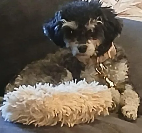 Party Powder thumbnail 2