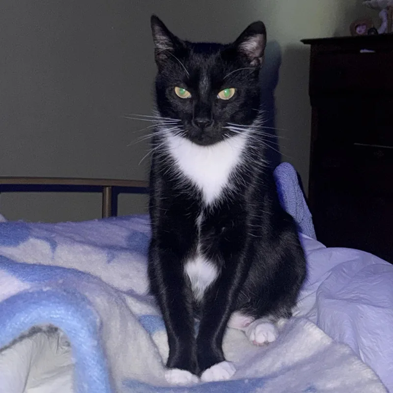 Peppercorn thumbnail 3