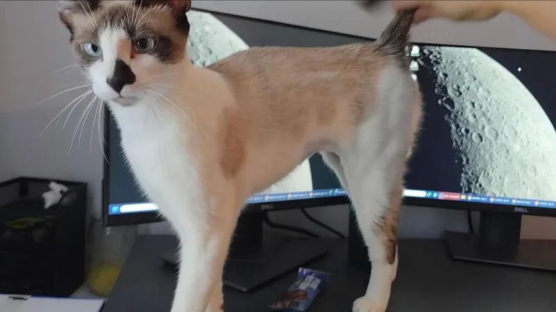 Emma thumbnail 4