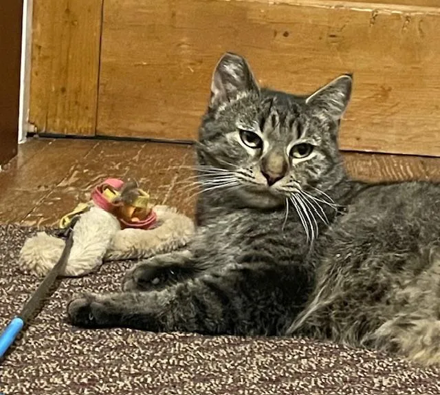 Kiki Fiv+ thumbnail 2