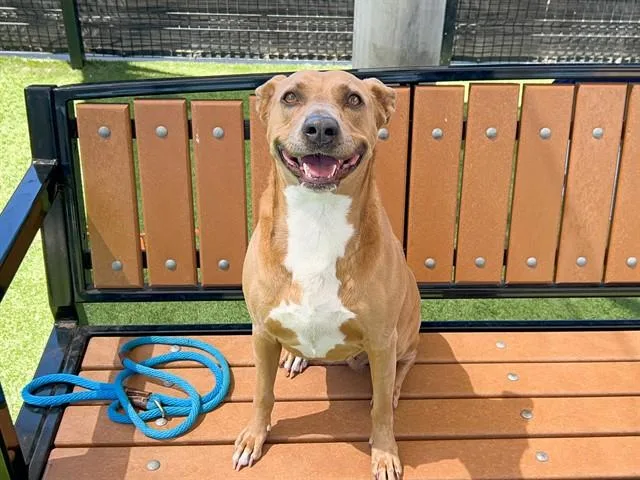 Baby