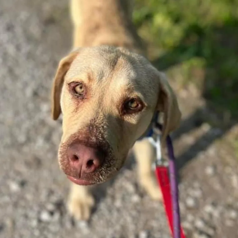 Clover  Fka Lund thumbnail 2