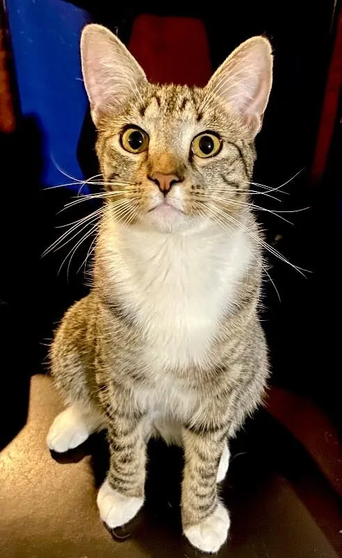 Kevin  Bonded To thumbnail 2