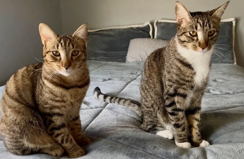 Kevin  Bonded To thumbnail 3