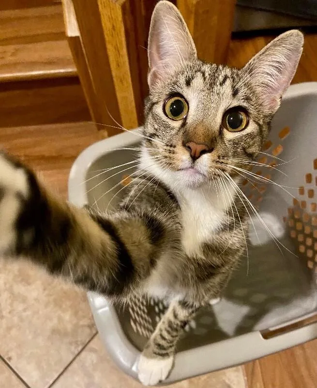 Kevin  Bonded To thumbnail 4