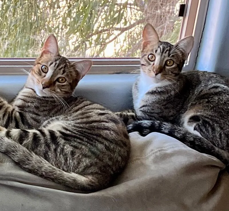 Kevin  Bonded To thumbnail 6