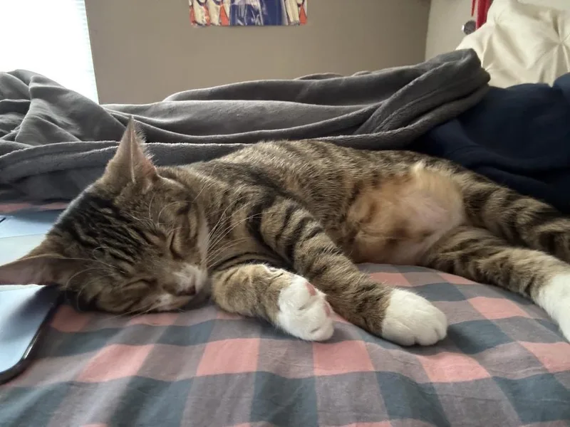 Chuckles thumbnail 6