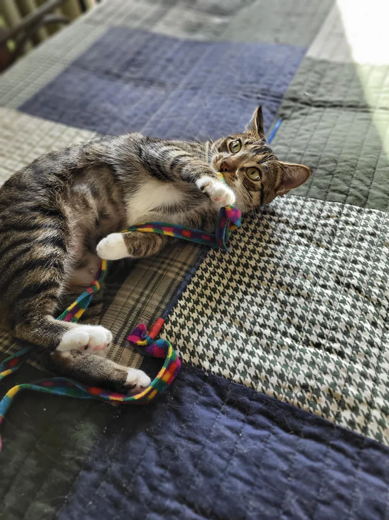 Cassie  Kuykendahl Petsmart thumbnail 2