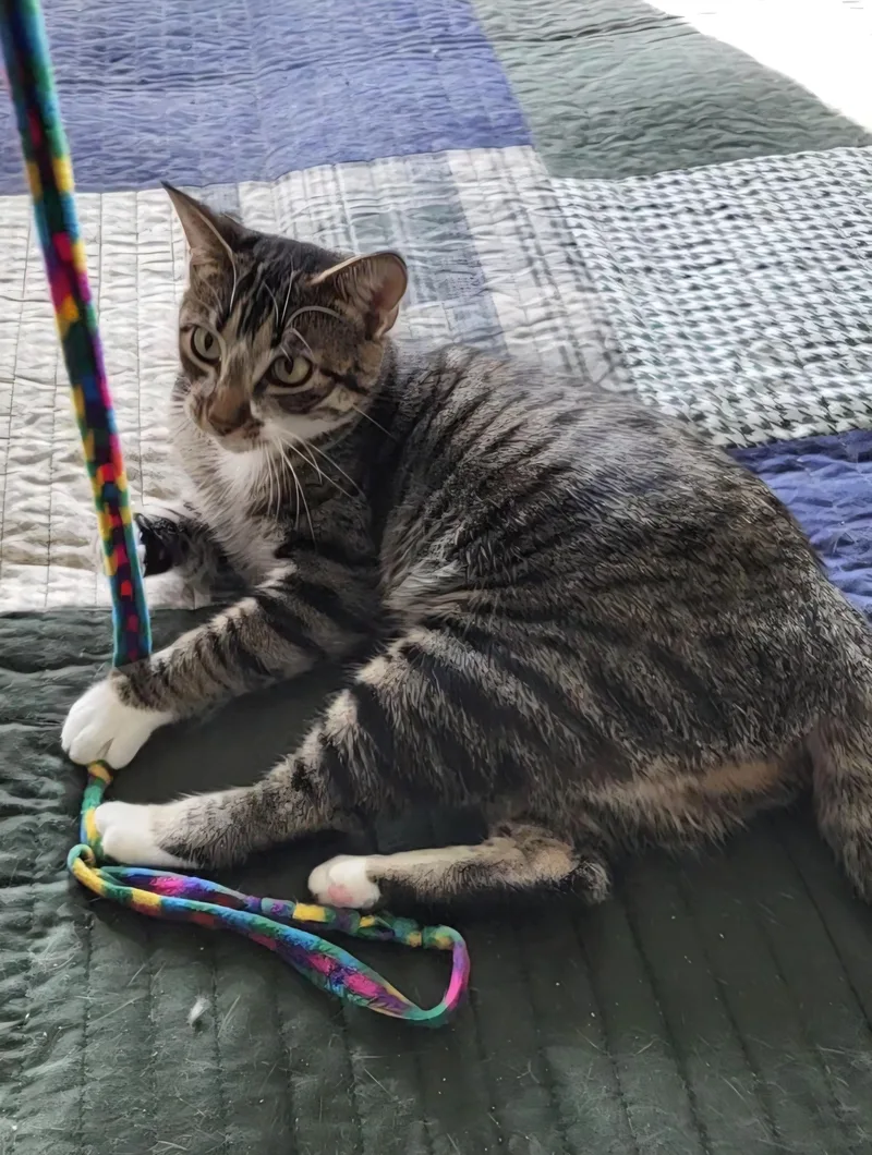 Cassie  Kuykendahl Petsmart thumbnail 4