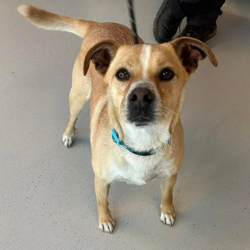 Sammi Stray Hold thumbnail 5