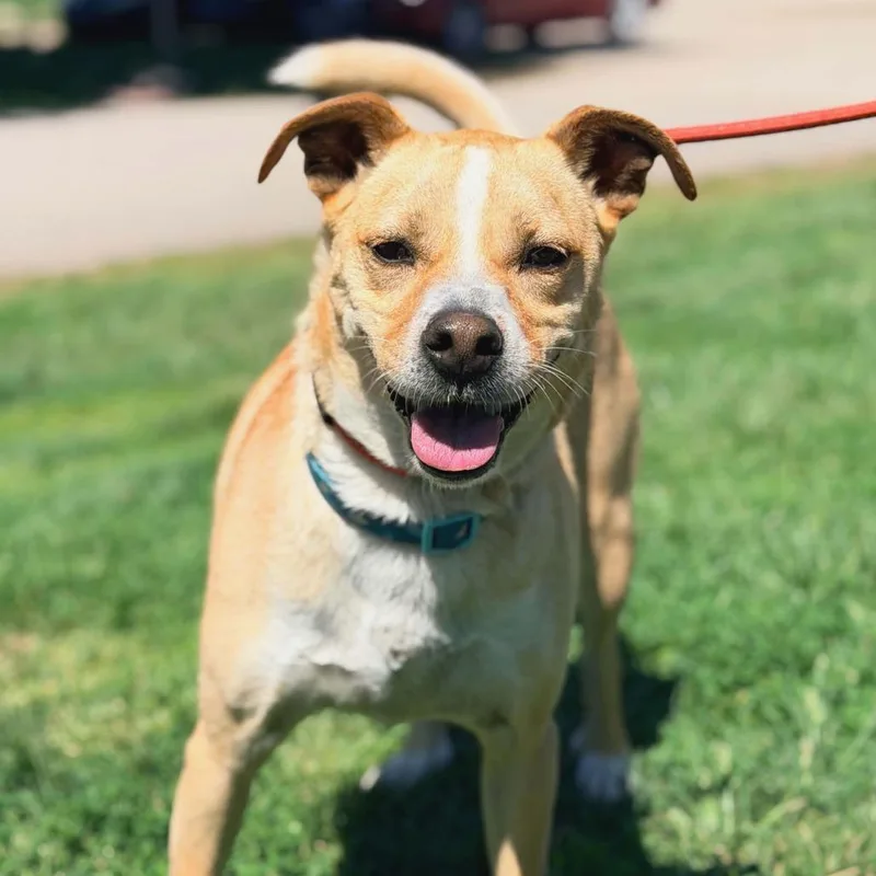 Sammi Stray Hold thumbnail 6