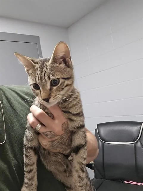 Jax