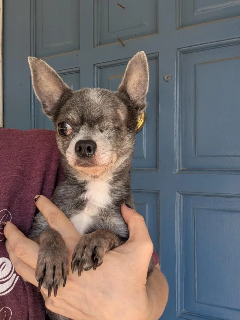 Buster thumbnail 2