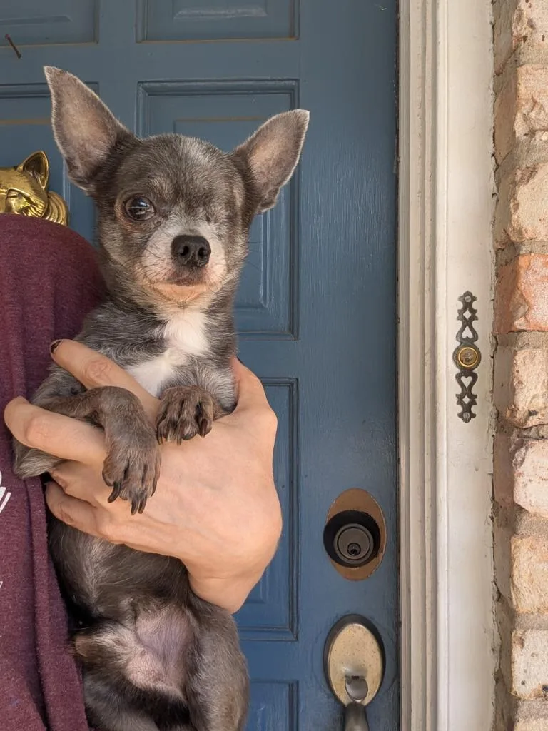Buster thumbnail 4