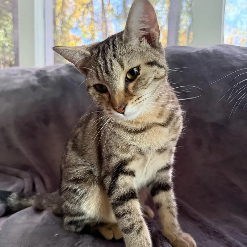 Sunshine thumbnail 2