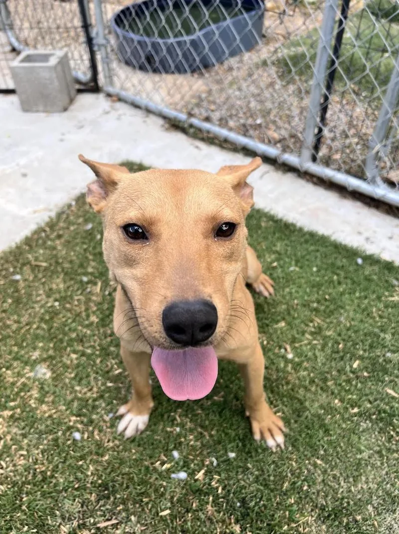 Daisy Doolittle thumbnail 2