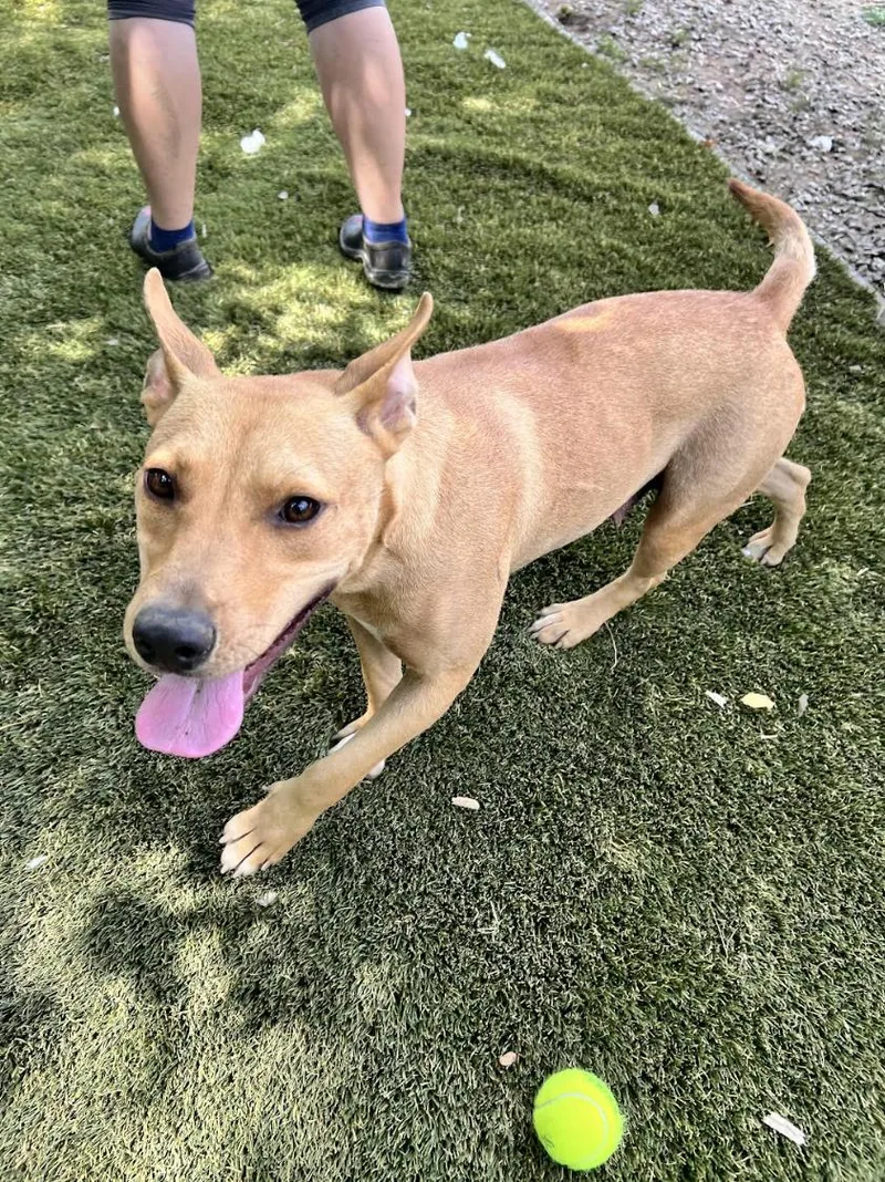 Daisy Doolittle thumbnail 5