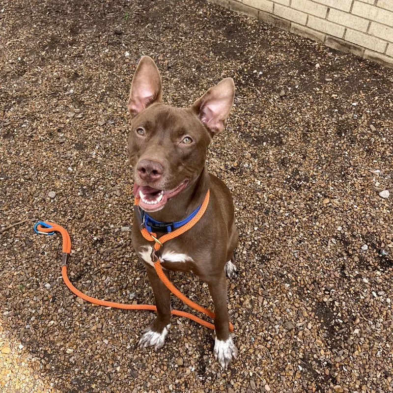 Kato Lee thumbnail 3