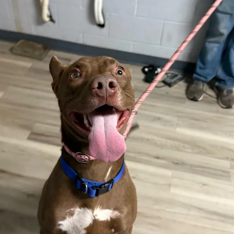 Kato Lee thumbnail 4