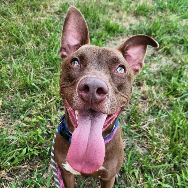 Kato Lee thumbnail 5