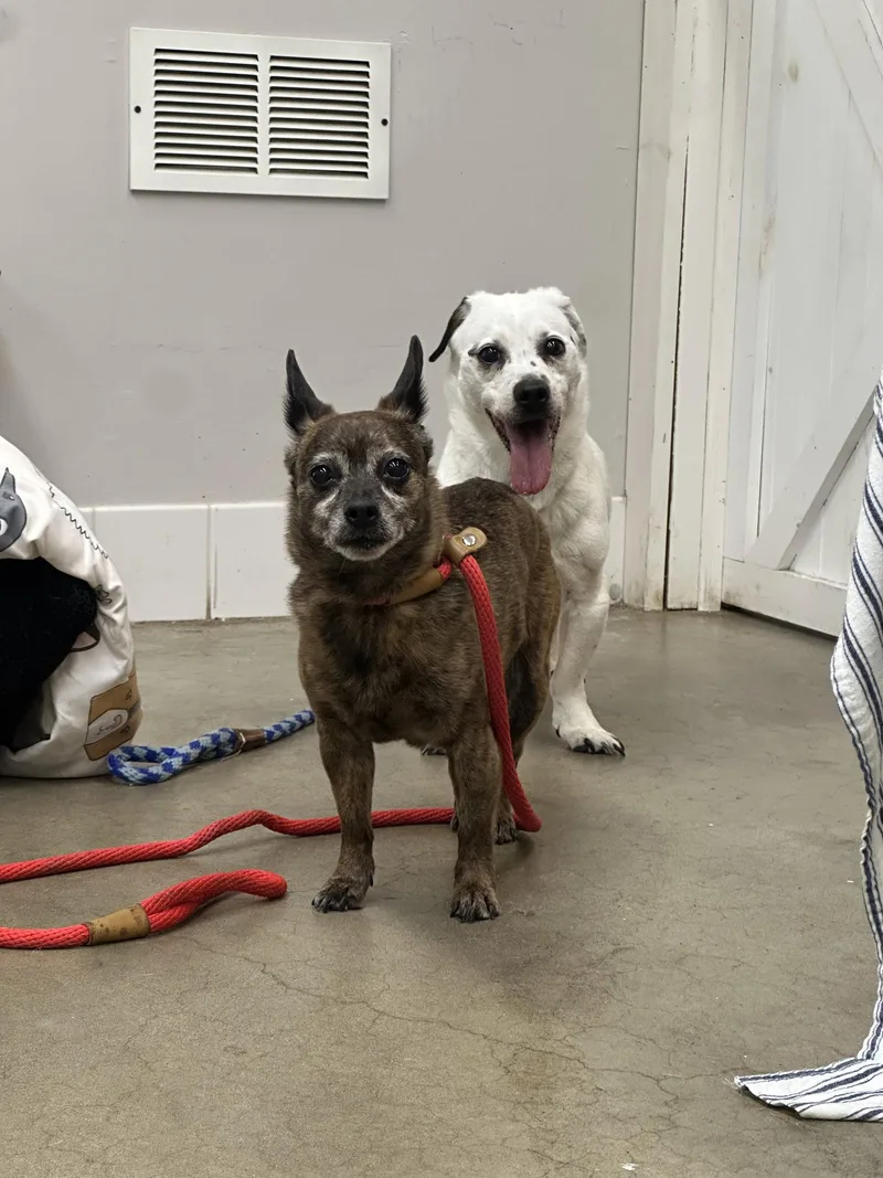 Monty & Gwen Nj
