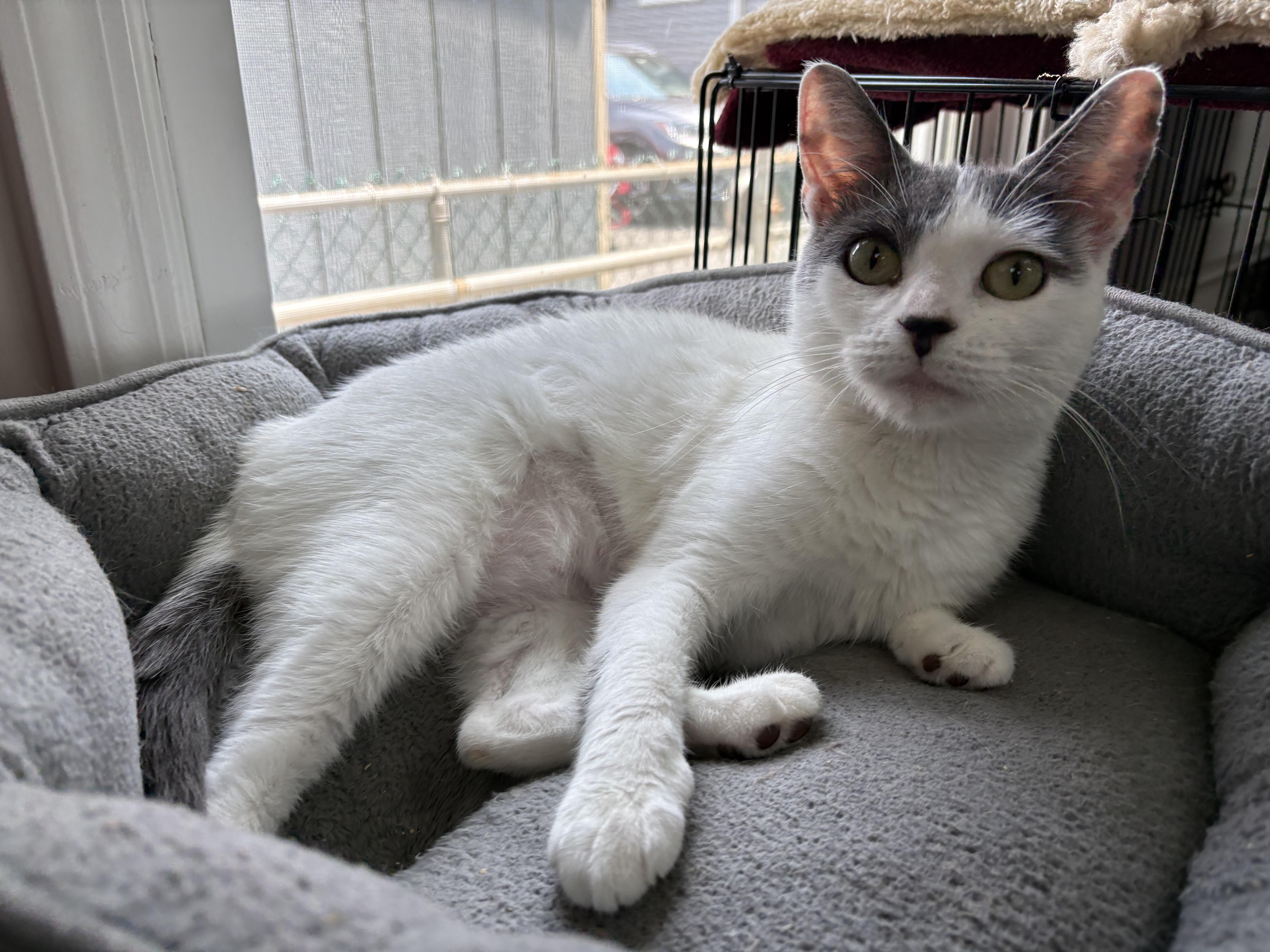 Pebbles thumbnail 2