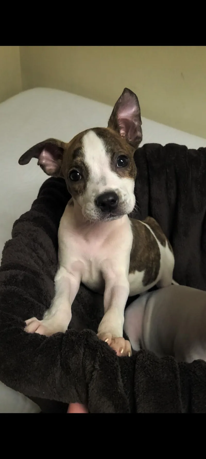 Winnie