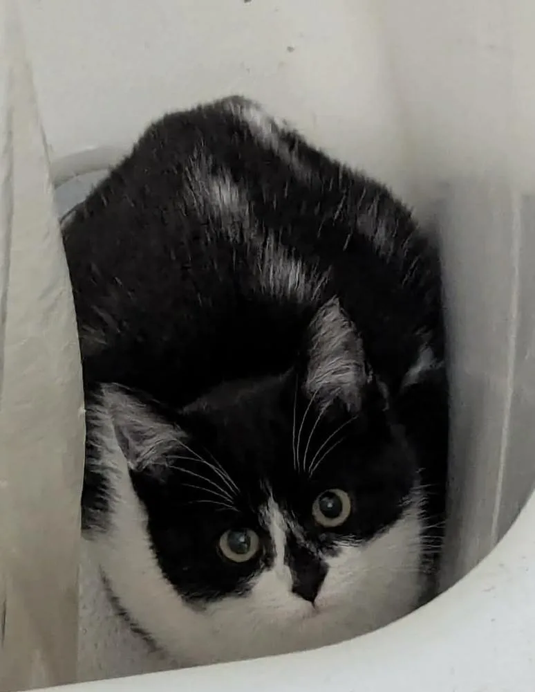 Trinidad thumbnail 2