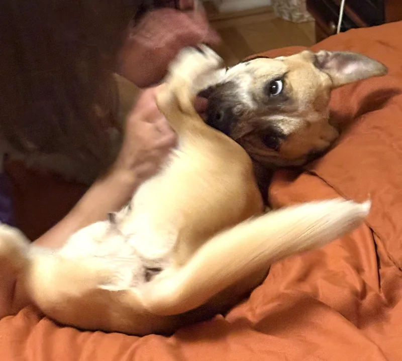 Pauline thumbnail 5