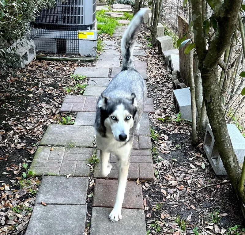 Xena Blueeyedbeauty thumbnail 2