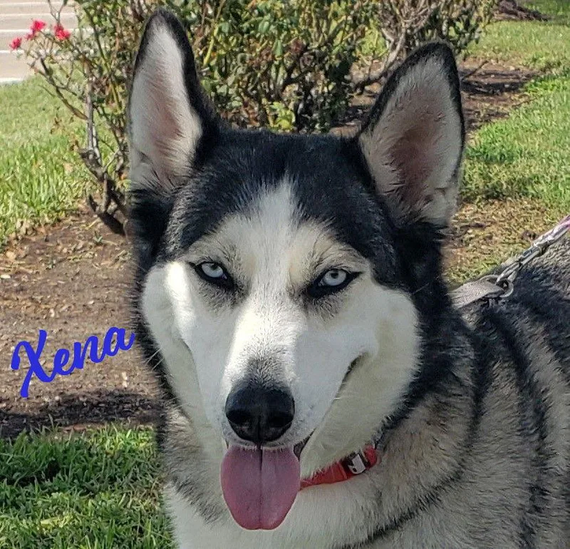 Xena Blueeyedbeauty