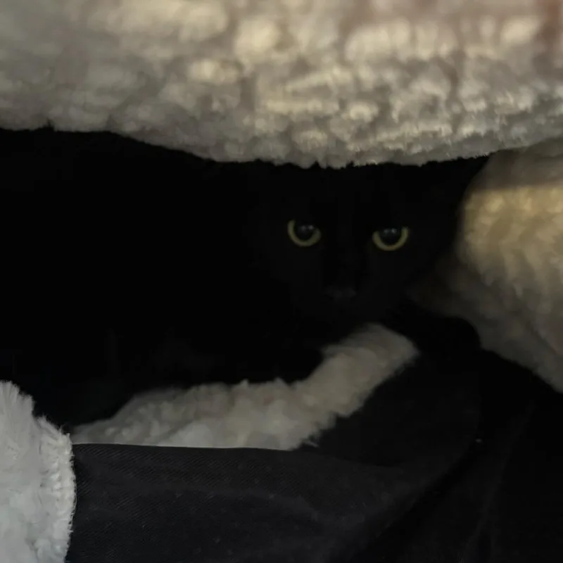 Weed Whacker thumbnail 3