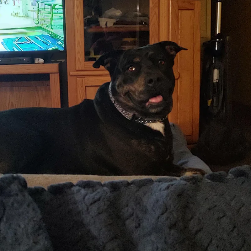 Daisy Mae thumbnail 2