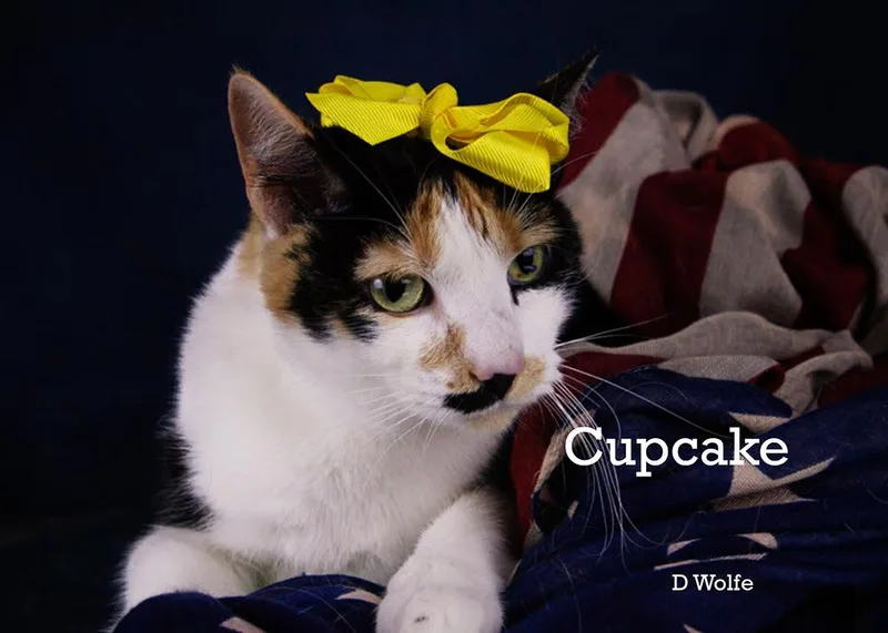 Cupcake & Tuna thumbnail 4