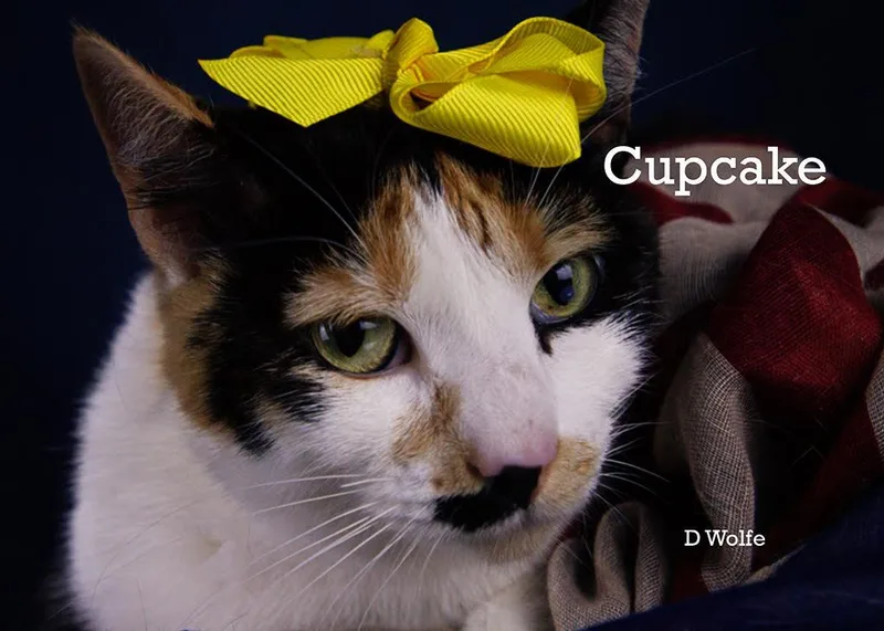Cupcake & Tuna thumbnail 5