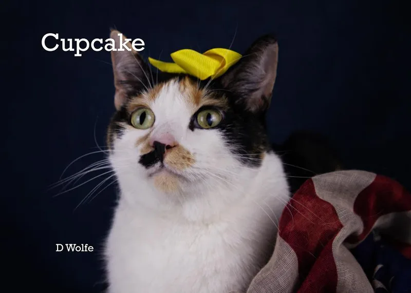 Cupcake & Tuna thumbnail 6
