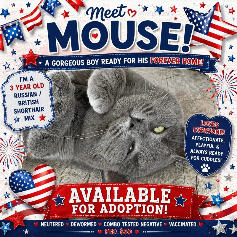 Mouse Of Gray thumbnail 2