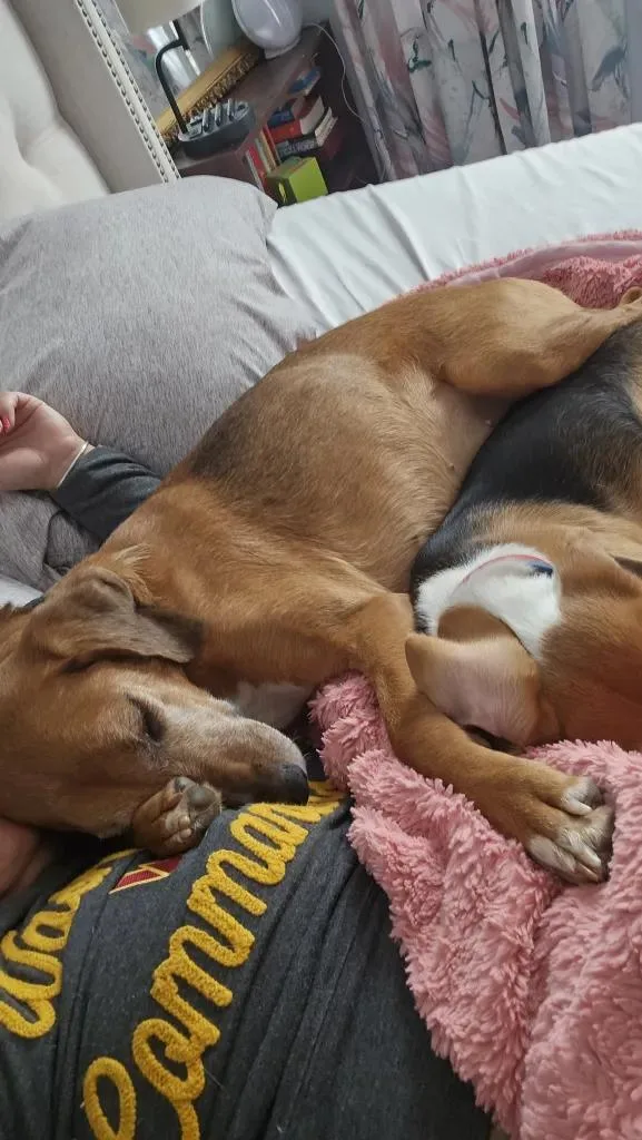 Roo Onslow thumbnail 2