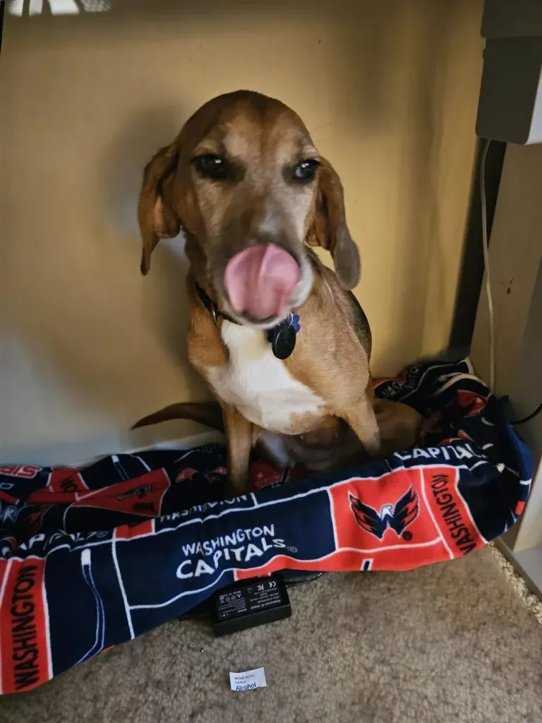 Roo Onslow thumbnail 3