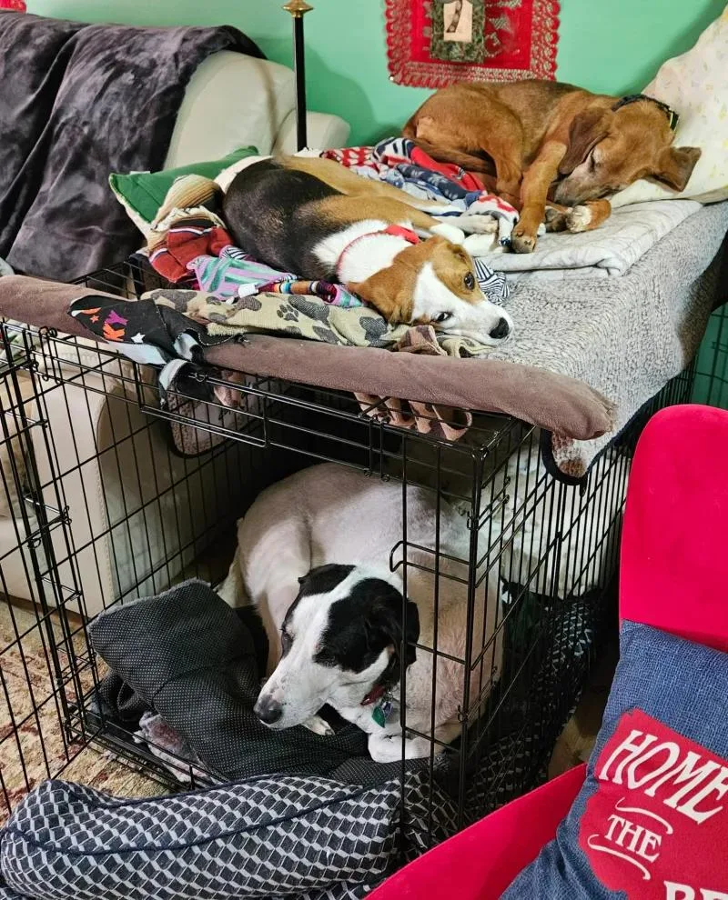 Roo Onslow thumbnail 4