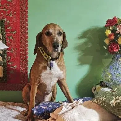 Roo Onslow thumbnail 5