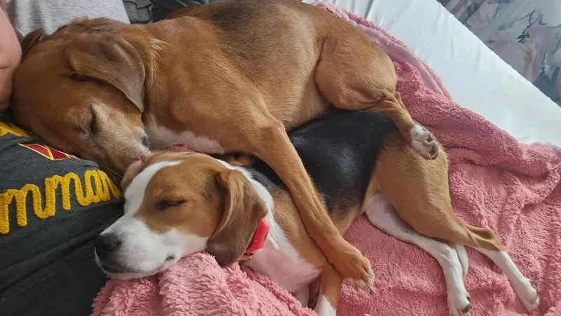 Roo Onslow thumbnail 6