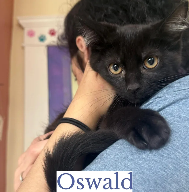 Oswald