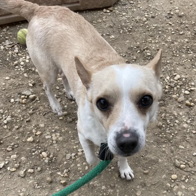 Javier Escuella thumbnail 2