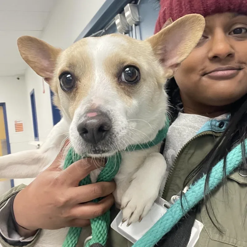 Javier Escuella thumbnail 4