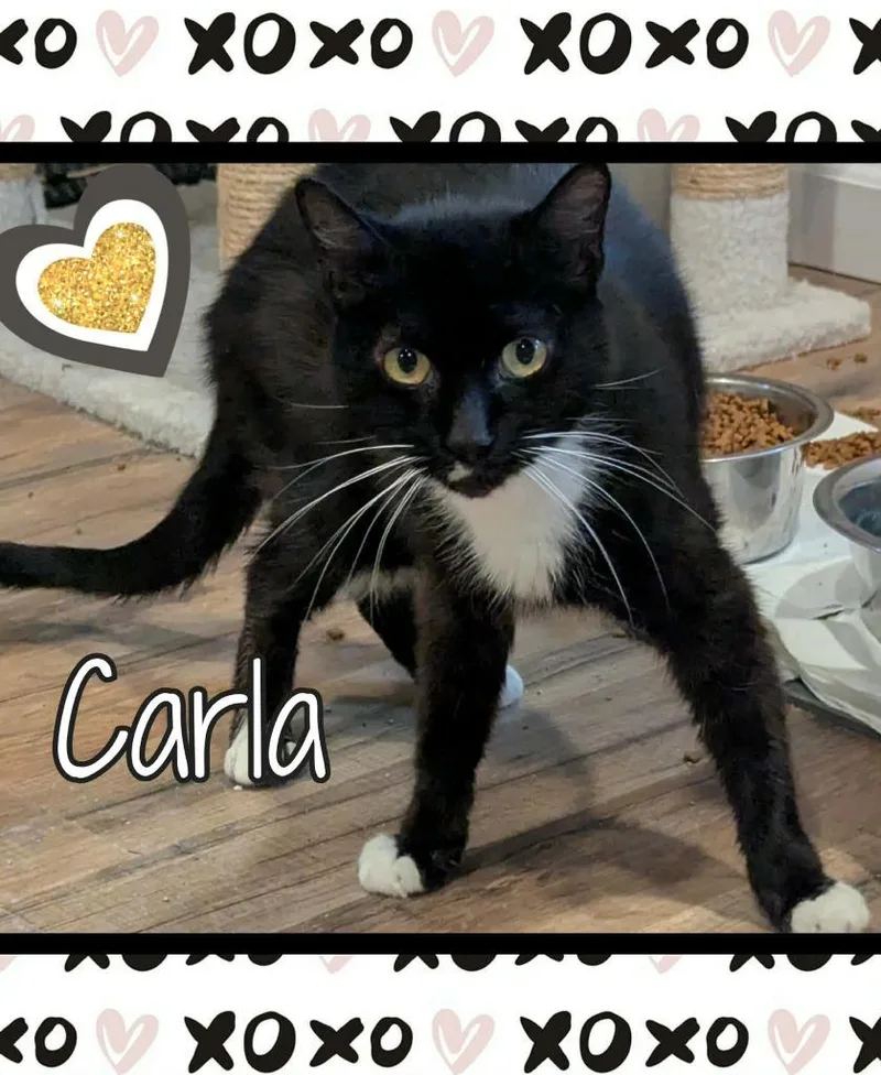 Carla
