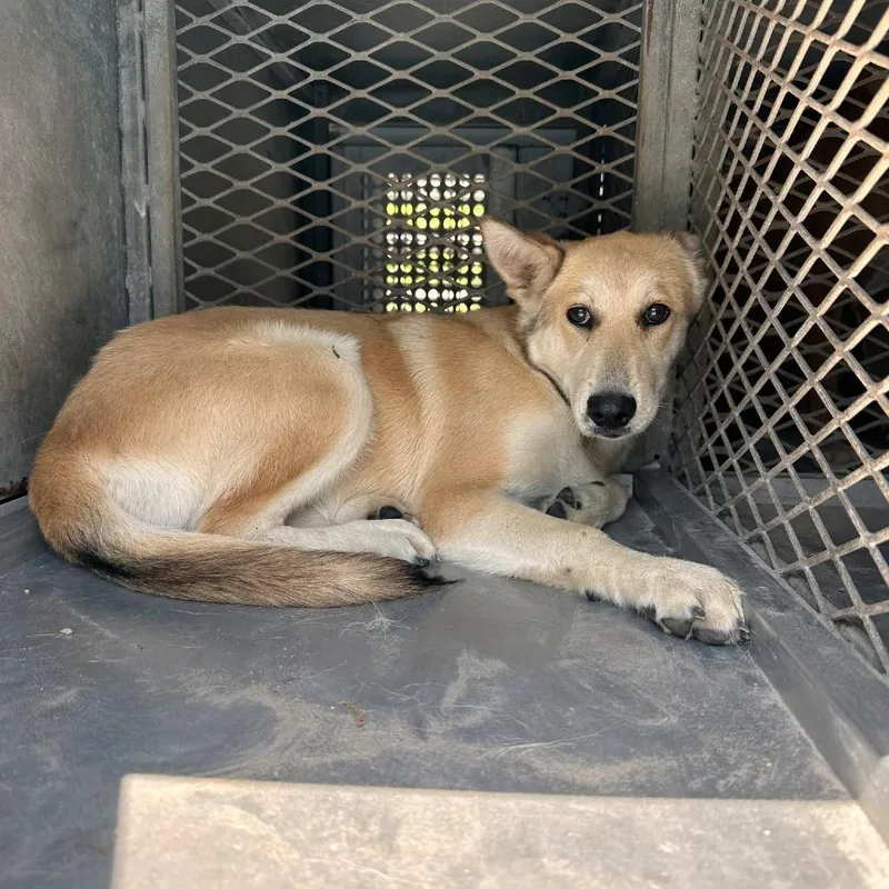 Solstice thumbnail 2